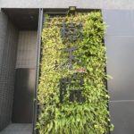 樹禾院-南屯區龍富十三街3號_200410_0040