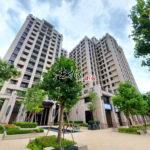 20200709_131114_副本_副本