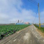 彰化縣大城鄉中央路250巷35號_210125_11