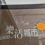 line_216860061499042