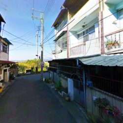 11_conew1