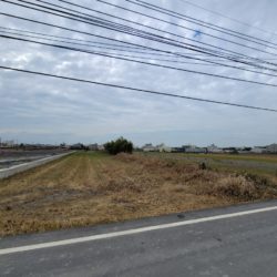 line_232117120436008