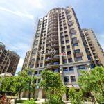 1684221696576_conew1