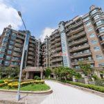 1684390838551_conew1