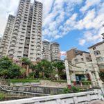 1687160699324_conew1