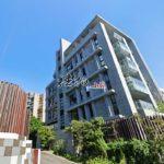 1700463638987_conew1