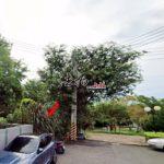 1700643434252_conew1