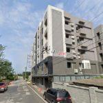 1703578226118_conew1