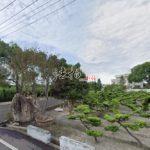 1706088646981_conew1