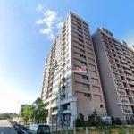 1706171560152_conew1