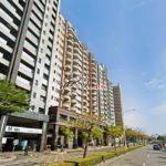 1709602953414_conew2