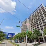 1711695569208_conew1