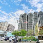 1718606810204_conew1