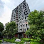 1719475153379_conew1