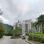 1719907085714_conew1