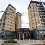 1721285602238_conew1