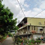 1726643629346_conew1