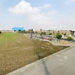 1729835915246_conew1