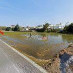 1729837025563_conew1