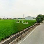 1729838295413_conew1