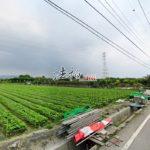 1729839208829_conew1