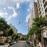 1730699648381_conew1