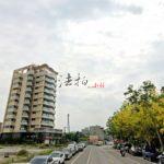 1731480777106_conew1