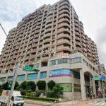 1732501260588_conew1