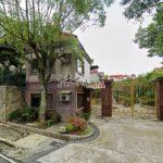 1733111296004_conew1