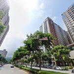 1733384908427_conew1