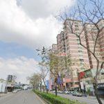 1734332494262_conew1