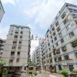 1736834189402_conew1