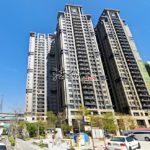 1741674213664_conew1