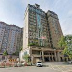 1744697556326_conew1