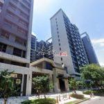 1745306919988_conew1