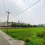 1745308440689_conew1