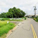 1745311374095_conew1