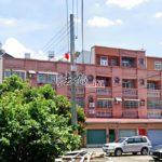 1754638241507_conew1