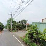 1754902000398_conew1