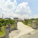 1770017578928_conew1