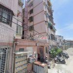 1772010690693_conew1