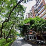 1773996229698_conew1