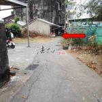 IMAGES_conew1