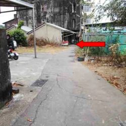 IMAGES_conew1